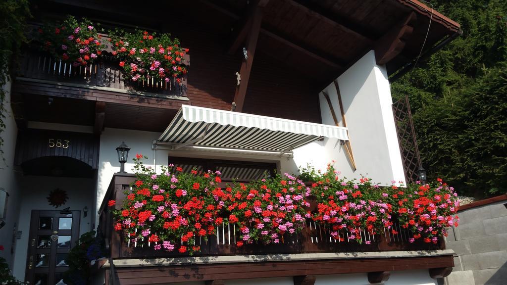 Pension Vinkl Harrachov Exterior foto